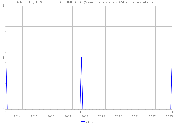 A R PELUQUEROS SOCIEDAD LIMITADA. (Spain) Page visits 2024 