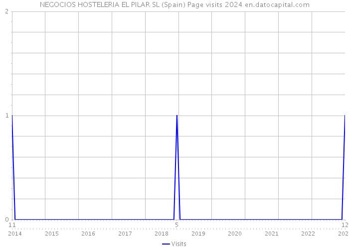 NEGOCIOS HOSTELERIA EL PILAR SL (Spain) Page visits 2024 