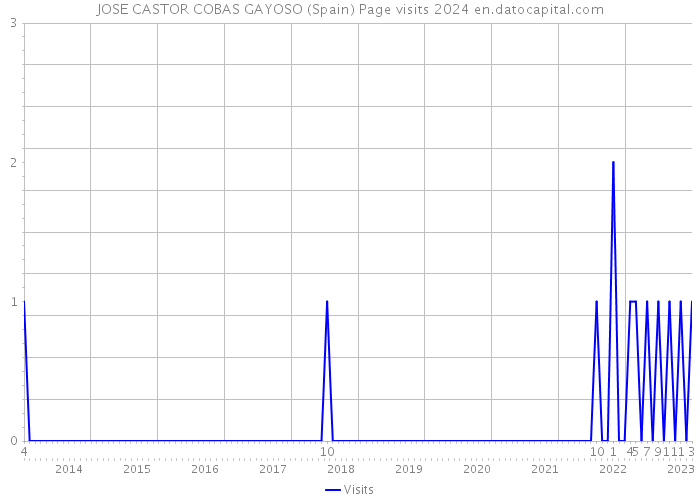JOSE CASTOR COBAS GAYOSO (Spain) Page visits 2024 