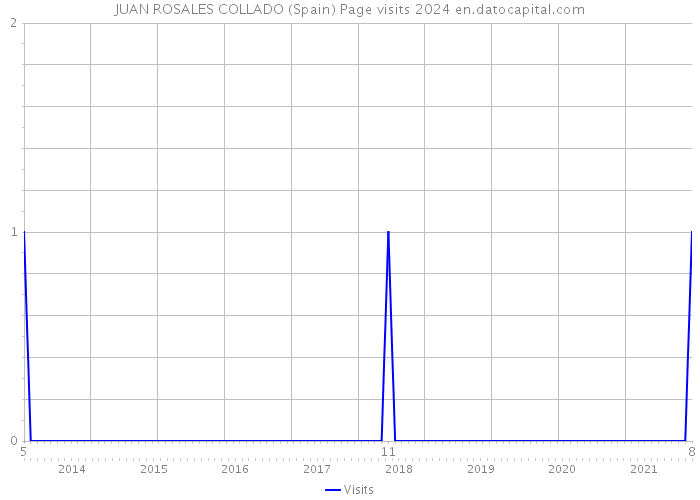 JUAN ROSALES COLLADO (Spain) Page visits 2024 