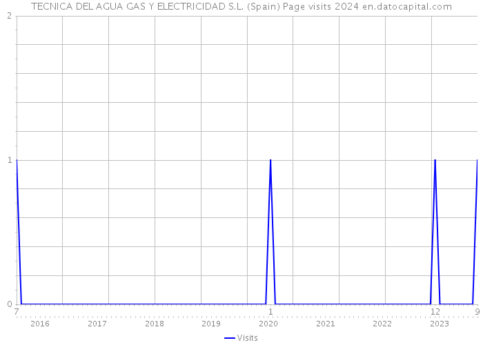 TECNICA DEL AGUA GAS Y ELECTRICIDAD S.L. (Spain) Page visits 2024 