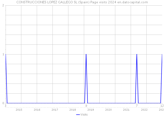 CONSTRUCCIONES LOPEZ GALLEGO SL (Spain) Page visits 2024 