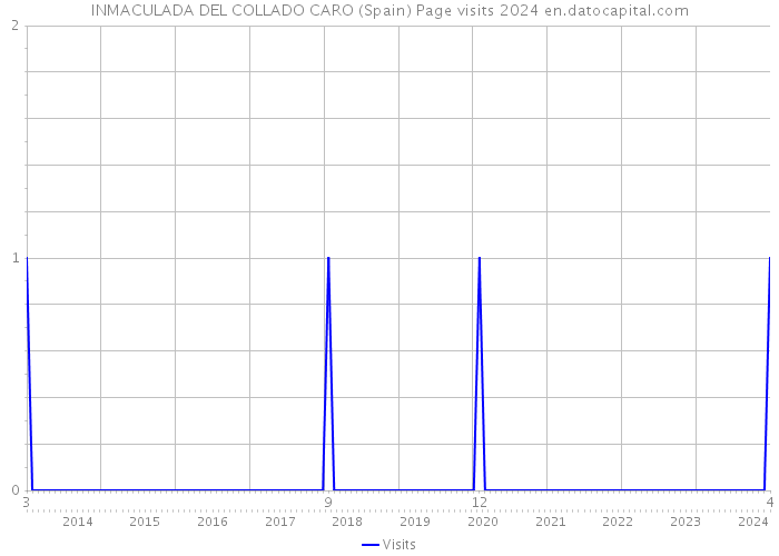 INMACULADA DEL COLLADO CARO (Spain) Page visits 2024 