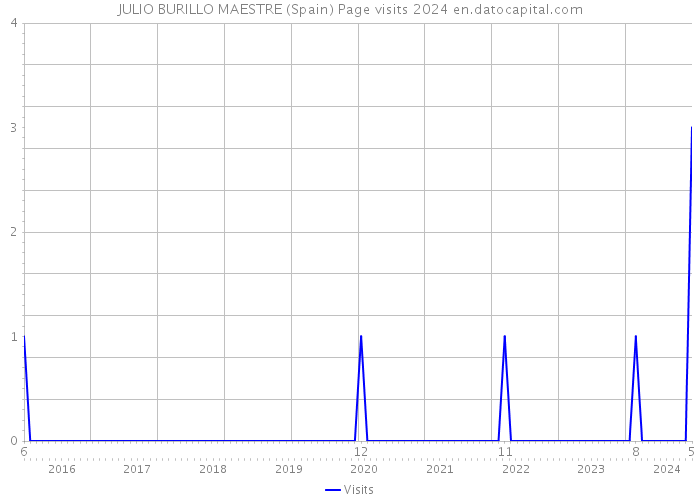 JULIO BURILLO MAESTRE (Spain) Page visits 2024 