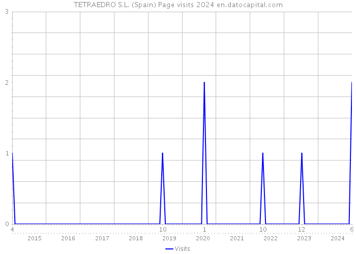 TETRAEDRO S.L. (Spain) Page visits 2024 