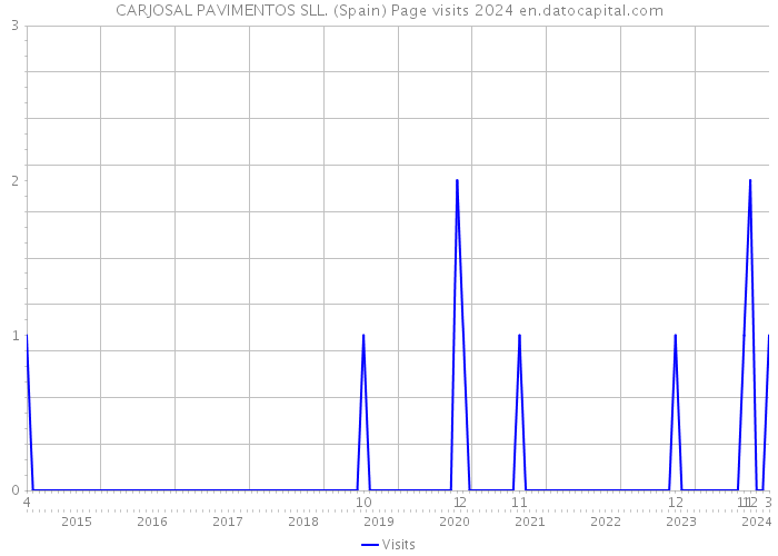 CARJOSAL PAVIMENTOS SLL. (Spain) Page visits 2024 