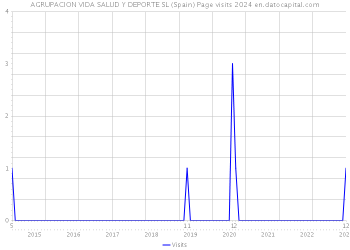 AGRUPACION VIDA SALUD Y DEPORTE SL (Spain) Page visits 2024 