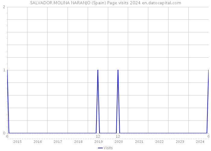 SALVADOR MOLINA NARANJO (Spain) Page visits 2024 