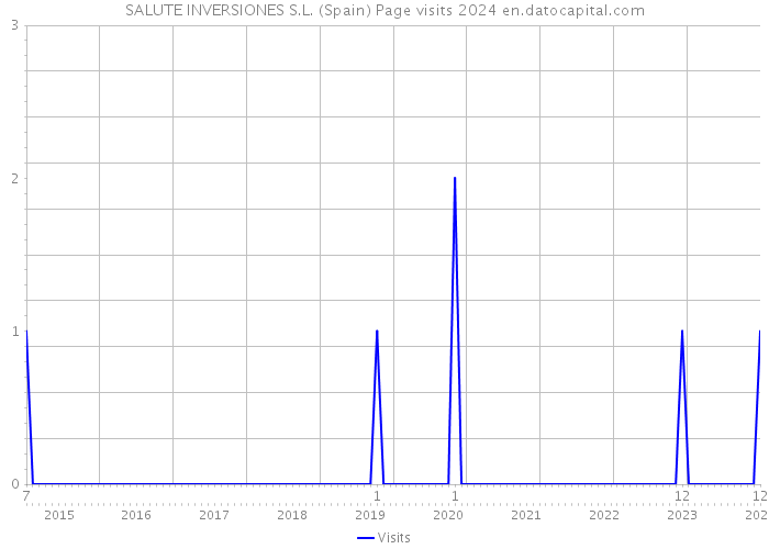 SALUTE INVERSIONES S.L. (Spain) Page visits 2024 