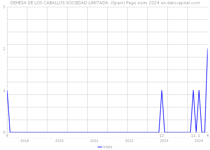 DEHESA DE LOS CABALLOS SOCIEDAD LIMITADA. (Spain) Page visits 2024 