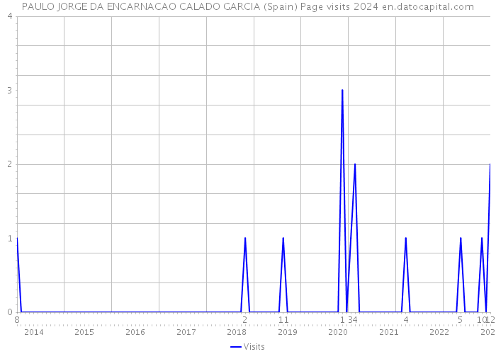 PAULO JORGE DA ENCARNACAO CALADO GARCIA (Spain) Page visits 2024 
