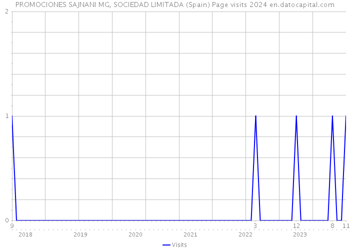 PROMOCIONES SAJNANI MG, SOCIEDAD LIMITADA (Spain) Page visits 2024 