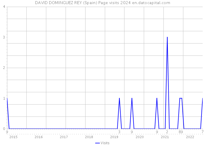 DAVID DOMINGUEZ REY (Spain) Page visits 2024 