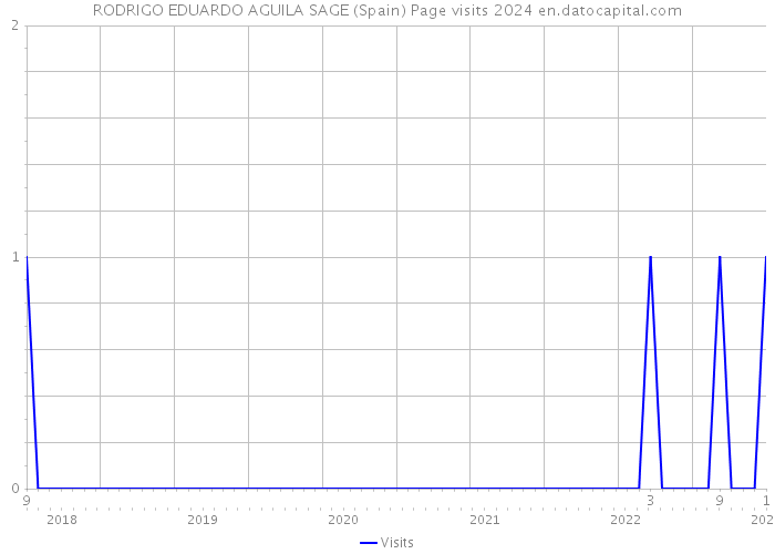 RODRIGO EDUARDO AGUILA SAGE (Spain) Page visits 2024 