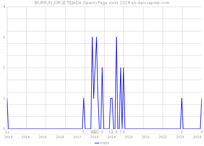 BIURRUN JORGE TEJADA (Spain) Page visits 2024 