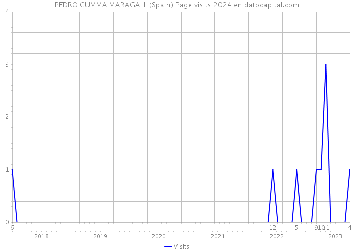 PEDRO GUMMA MARAGALL (Spain) Page visits 2024 