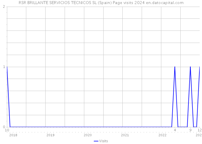 RSR BRILLANTE SERVICIOS TECNICOS SL (Spain) Page visits 2024 