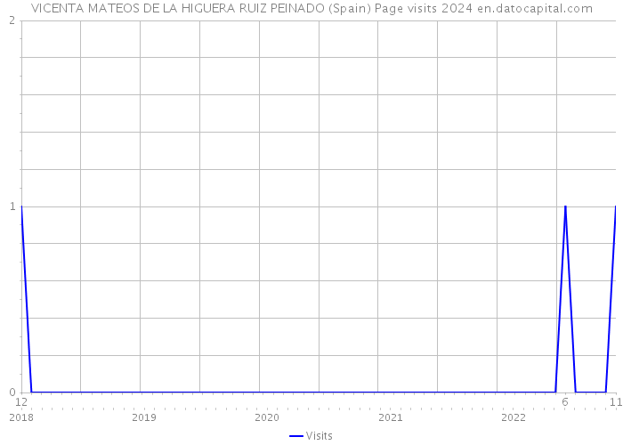 VICENTA MATEOS DE LA HIGUERA RUIZ PEINADO (Spain) Page visits 2024 