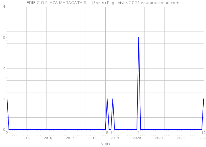 EDIFICIO PLAZA MARAGATA S.L. (Spain) Page visits 2024 