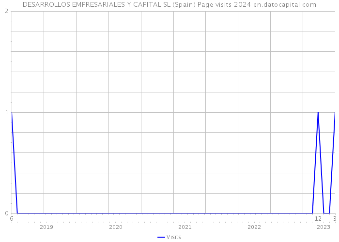 DESARROLLOS EMPRESARIALES Y CAPITAL SL (Spain) Page visits 2024 