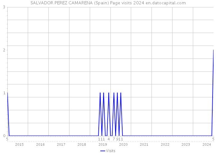 SALVADOR PEREZ CAMARENA (Spain) Page visits 2024 