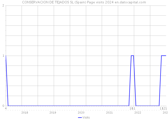 CONSERVACION DE TEJADOS SL (Spain) Page visits 2024 