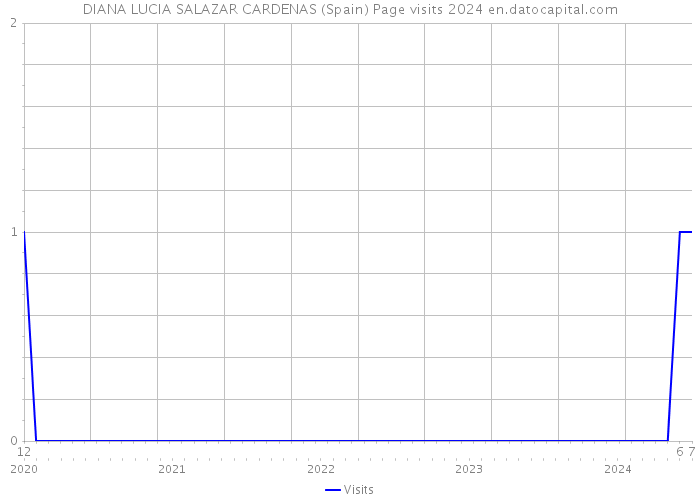 DIANA LUCIA SALAZAR CARDENAS (Spain) Page visits 2024 