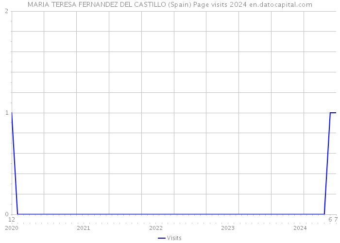 MARIA TERESA FERNANDEZ DEL CASTILLO (Spain) Page visits 2024 