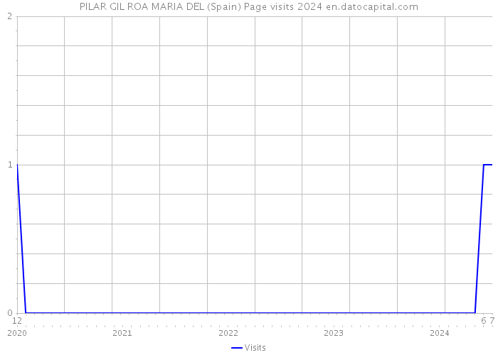 PILAR GIL ROA MARIA DEL (Spain) Page visits 2024 