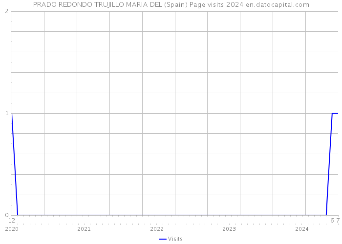 PRADO REDONDO TRUJILLO MARIA DEL (Spain) Page visits 2024 