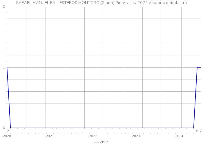 RAFAEL MANUEL BALLESTEROS MONTORO (Spain) Page visits 2024 