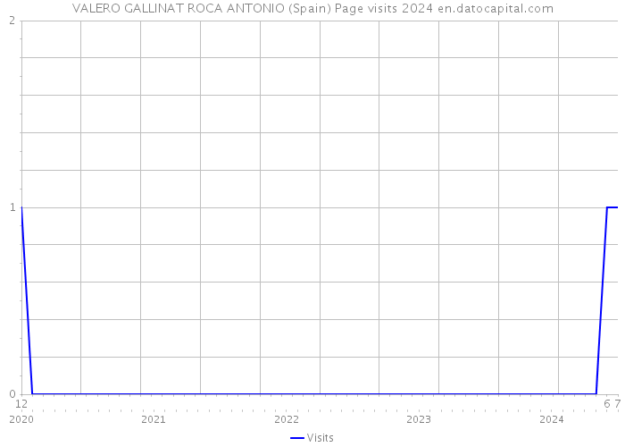 VALERO GALLINAT ROCA ANTONIO (Spain) Page visits 2024 