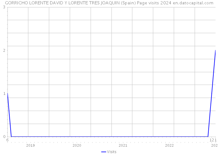 GORRICHO LORENTE DAVID Y LORENTE TRES JOAQUIN (Spain) Page visits 2024 