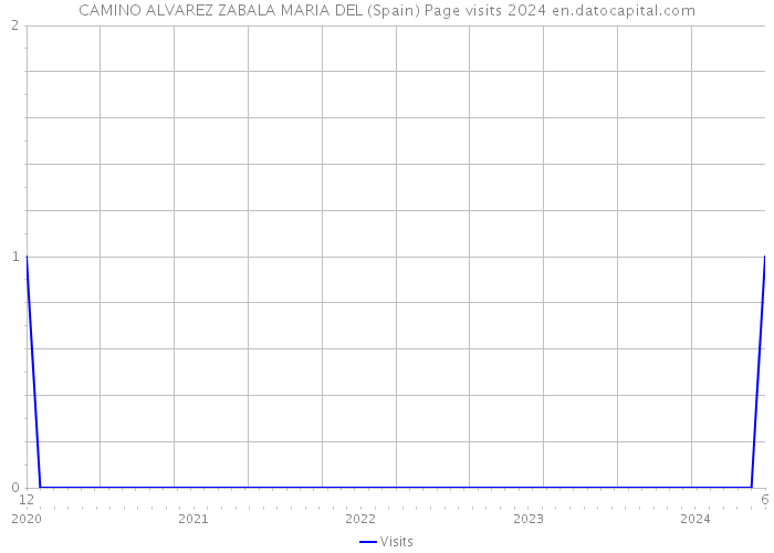 CAMINO ALVAREZ ZABALA MARIA DEL (Spain) Page visits 2024 