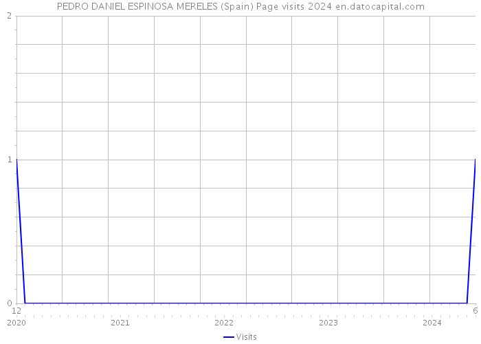 PEDRO DANIEL ESPINOSA MERELES (Spain) Page visits 2024 