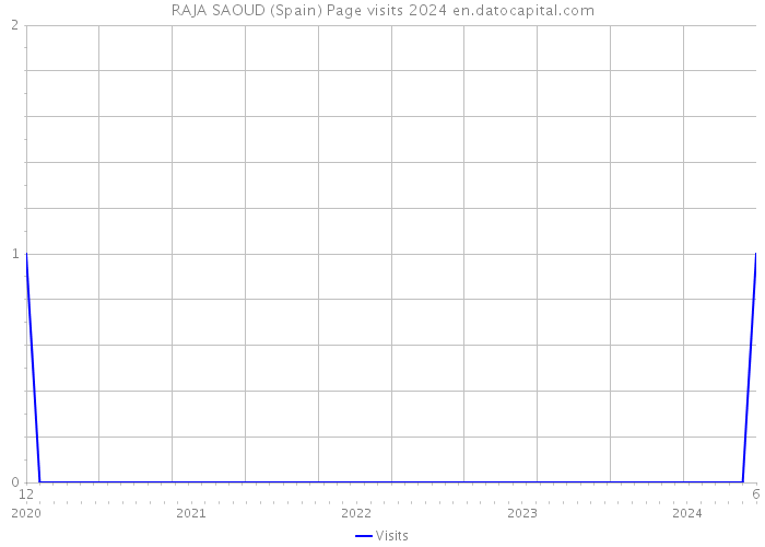 RAJA SAOUD (Spain) Page visits 2024 