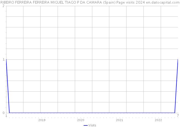 RIBEIRO FERREIRA FERREIRA MIGUEL TIAGO P DA CAMARA (Spain) Page visits 2024 