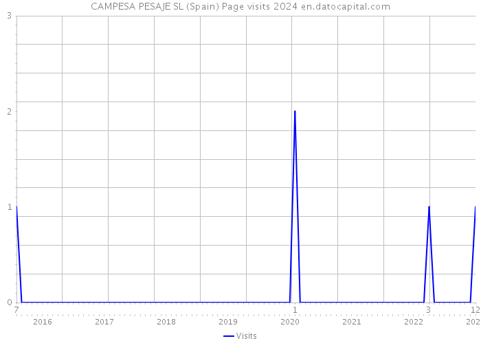 CAMPESA PESAJE SL (Spain) Page visits 2024 