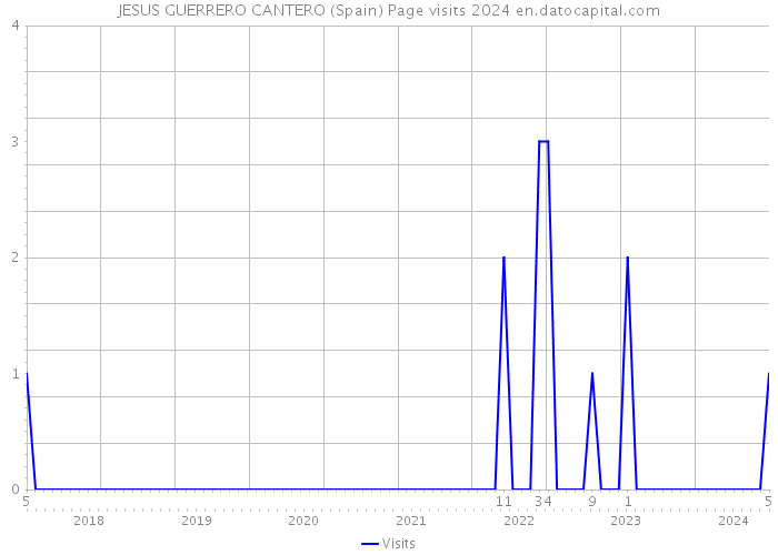 JESUS GUERRERO CANTERO (Spain) Page visits 2024 