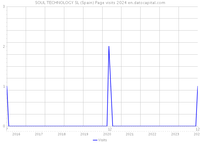 SOUL TECHNOLOGY SL (Spain) Page visits 2024 