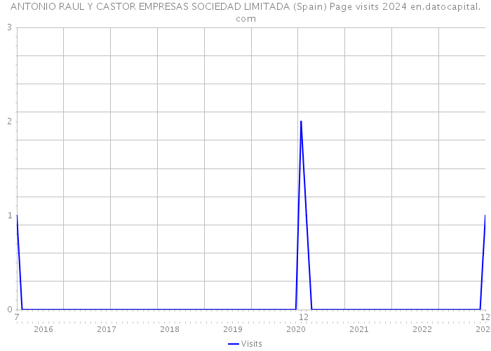 ANTONIO RAUL Y CASTOR EMPRESAS SOCIEDAD LIMITADA (Spain) Page visits 2024 