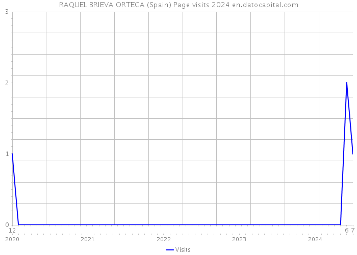 RAQUEL BRIEVA ORTEGA (Spain) Page visits 2024 