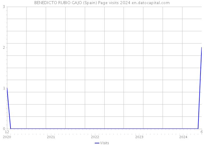 BENEDICTO RUBIO GAJO (Spain) Page visits 2024 