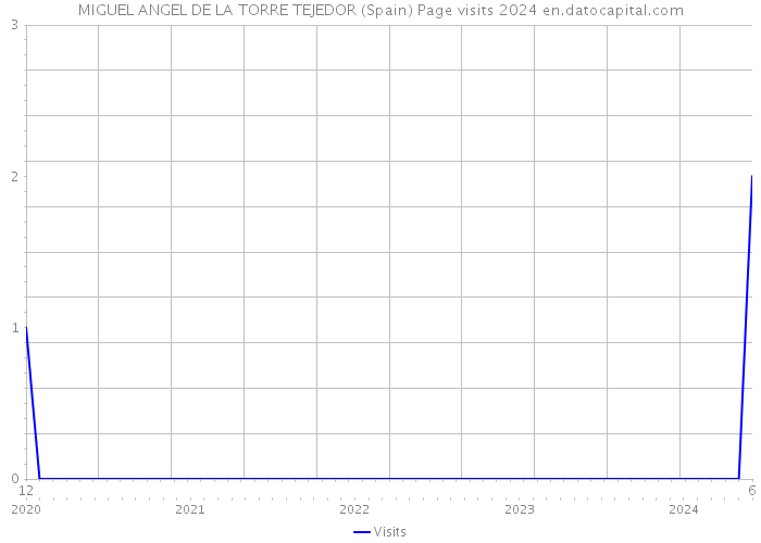 MIGUEL ANGEL DE LA TORRE TEJEDOR (Spain) Page visits 2024 