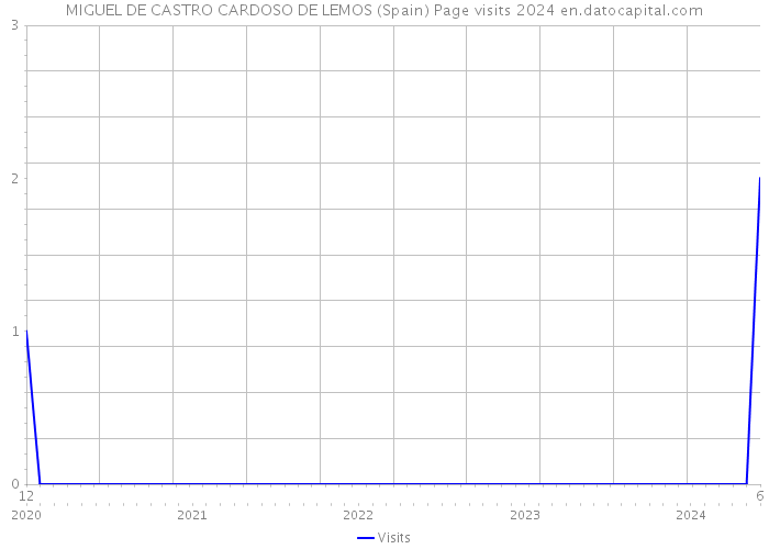 MIGUEL DE CASTRO CARDOSO DE LEMOS (Spain) Page visits 2024 