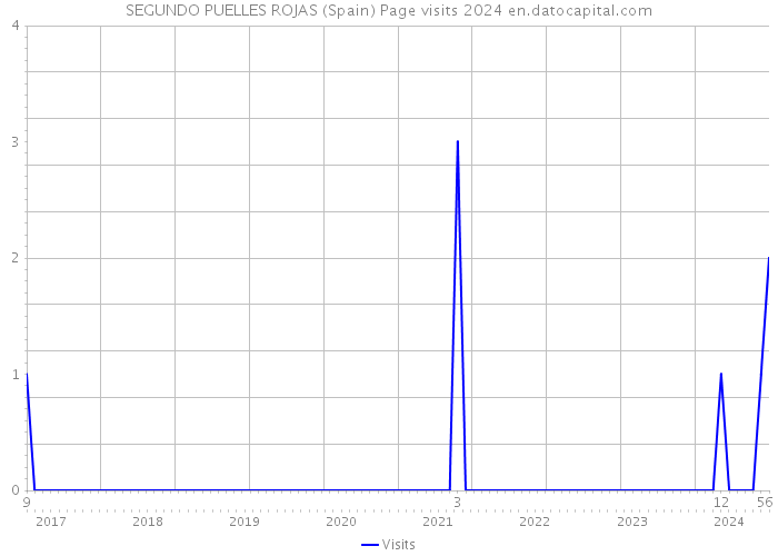 SEGUNDO PUELLES ROJAS (Spain) Page visits 2024 