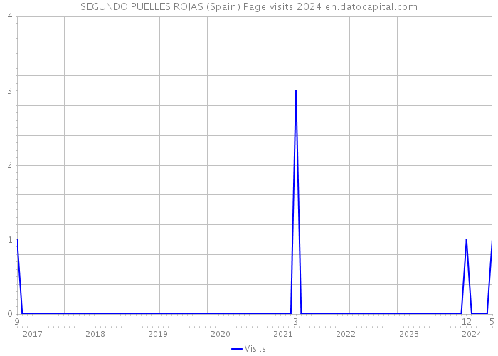 SEGUNDO PUELLES ROJAS (Spain) Page visits 2024 