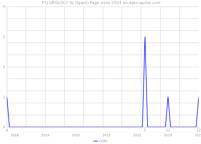  PYJ UROLOGY SL (Spain) Page visits 2024 