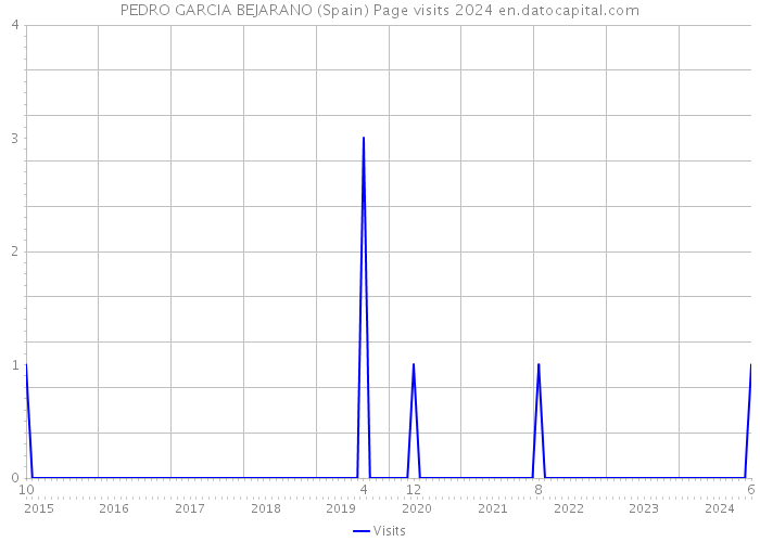 PEDRO GARCIA BEJARANO (Spain) Page visits 2024 