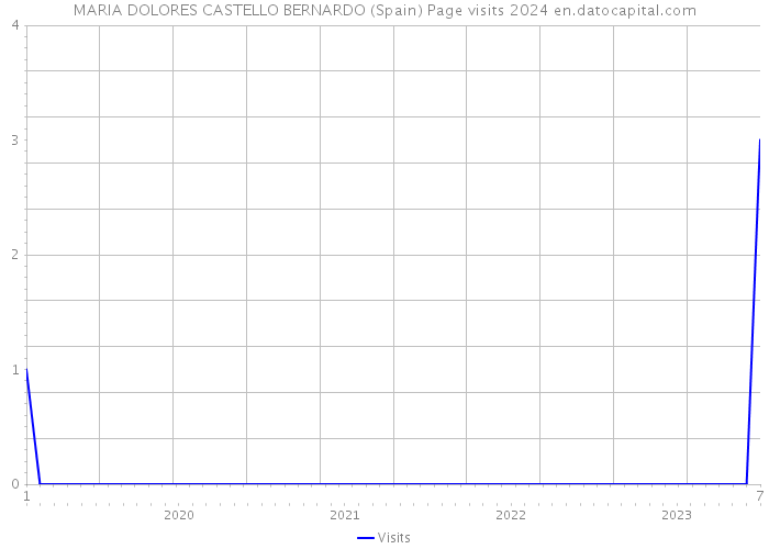 MARIA DOLORES CASTELLO BERNARDO (Spain) Page visits 2024 
